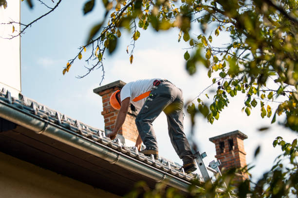 Best Flat Roof Repair Services  in Piperton, TN